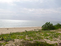 20111211�n�������C�u